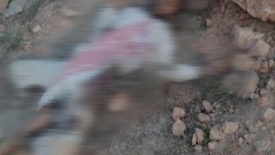 خلافات داخلية بين القاعدة وداعش تسبق مقتل "شداد الخولاني" في المهرة