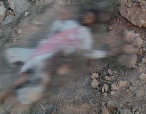 خلافات داخلية بين القاعدة وداعش تسبق مقتل "شداد الخولاني" في المهرة