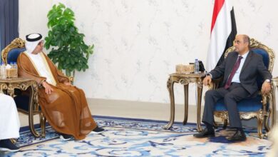 رئيس الوزراء يستقبل في عدن السفير الاماراتي لدى اليمن