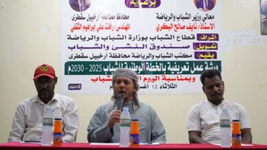 سقطرى تحتفي باليوم العالمي للشباب بتنظيم الورشة التعريفية بالخطة الوطنية 2025–2030م
