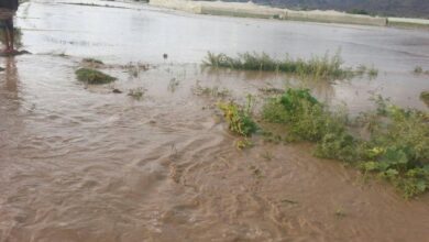 سيول الأمطار تودي بحياة 3 في شبوة وحضرموت