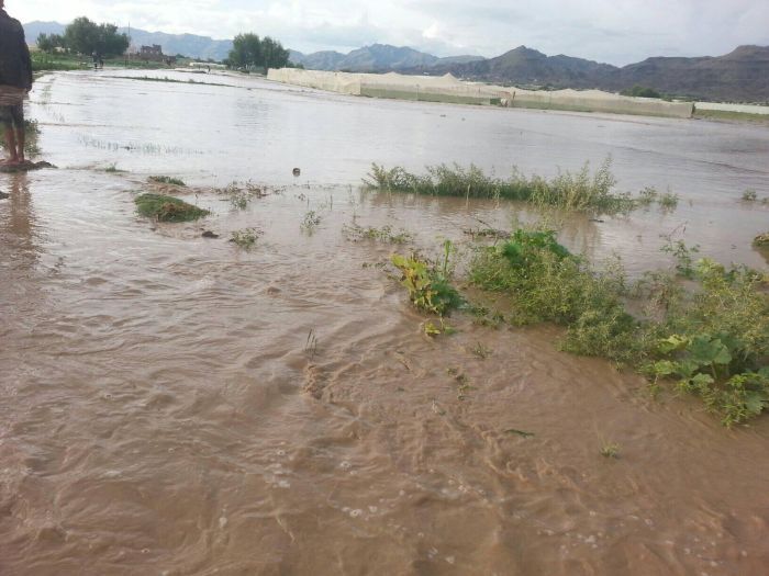 سيول الأمطار تودي بحياة 3 في شبوة وحضرموت