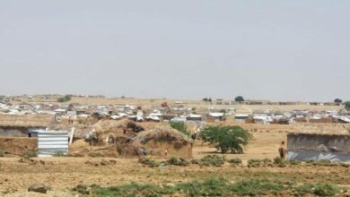 ظروف مأساوية يعيشها النازحون في مديرية الزهرة بالحديدة