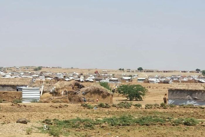 ظروف مأساوية يعيشها النازحون في مديرية الزهرة بالحديدة