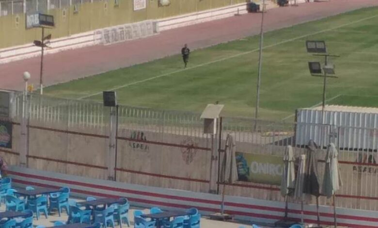كاترين أمو أرينجو