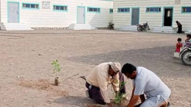 مدير مكتب التربية بالحديدة يطلق مبادرة لتشجير مدارس الخوخة