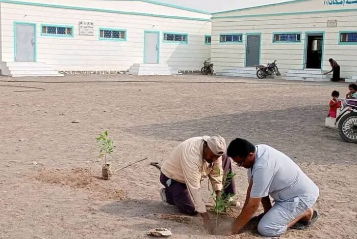 مدير مكتب التربية بالحديدة يطلق مبادرة لتشجير مدارس الخوخة