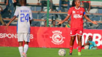 فيوليث نيكولاس