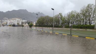 وزير الدولة محافظ عدن يتفقد المديريات المتأثرة بالمنخفض الجوي