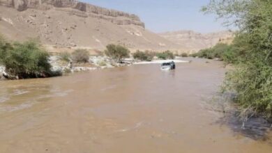 وفاة شاب ونفوق 160 رأس غنم جراء سيول الأمطار في حضرموت