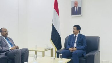 وكيل وزارة الخارجية يبحث مع السفير الصومالي سبل تعزيز العلاقات الثنائية بين البلدين