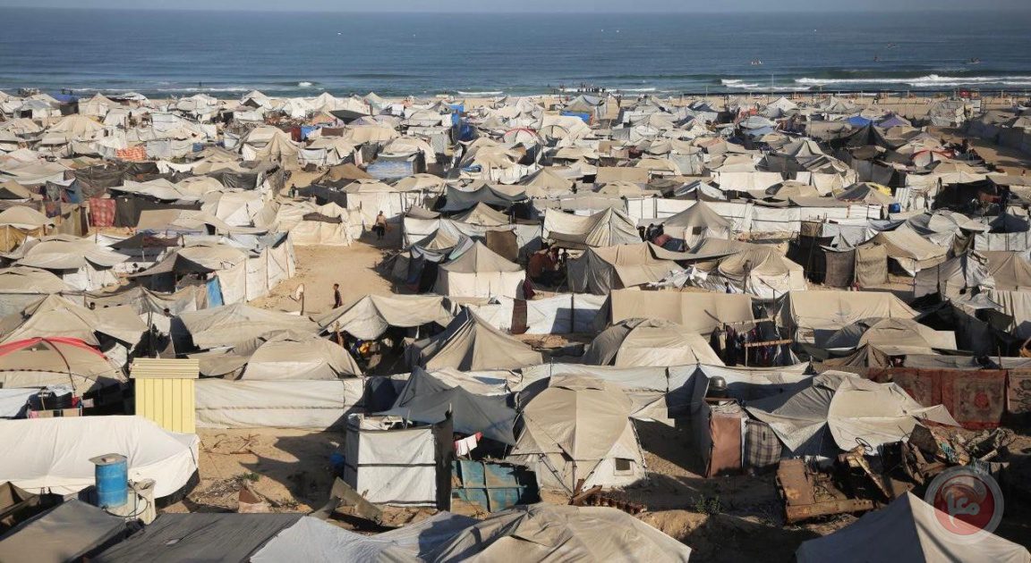 معظم سكان غزة يرفضون النزوح وبعض النازحين عادوا للمدينة