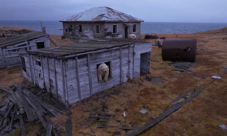 عصابات تستخدم