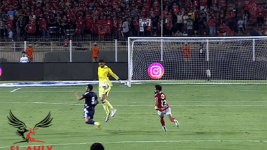 فيديو... حكم الـ VAR ينقذ حكم لقاء الأهلي وانبي بعد طرد الشناوي