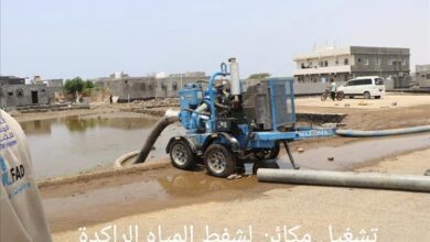 السلطة المحلية في  البريقة.. خلية نحل لانتشال وضع المدينة المأساوي من جراء تدفق مياه السيول.