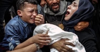 بيان وزارى عربى وإسلامى يدعو إلى الوقف الفورى لإطلاق النار فى قطاع غزة