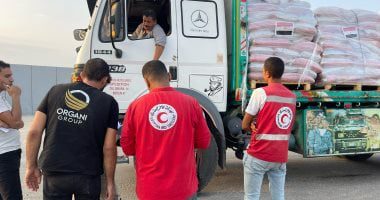 مصر تدفع بأكثر من 3200 طن مساعدات غذائية وإغاثية للفلسطينيين فى القطاع.. جيش الاحتلال يواصل تدمير أبراج غزة.. ارتفاع شهداء المجاعة 422 شهيدا بينهم 145 طفلا.. وآلاف الفنانين العالميين يقاطعون السينما الإسرائيلية