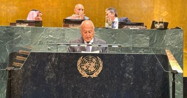 أبو الغيط بمؤتمر حل الدولتين: الاعتراف بالدولة الفلسطينية مسار لا رجعة عنه
