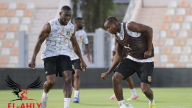 ديانج وبن رمضان أساسيان مع مالي وتونس في تصفيات المونديال