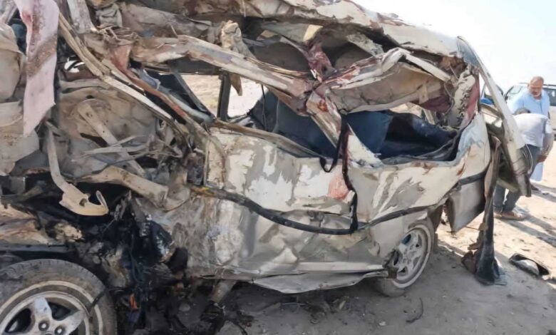 هل القطط البرتقالية تختلف سلوكيًا عن غيرها؟.. العلم يجيب