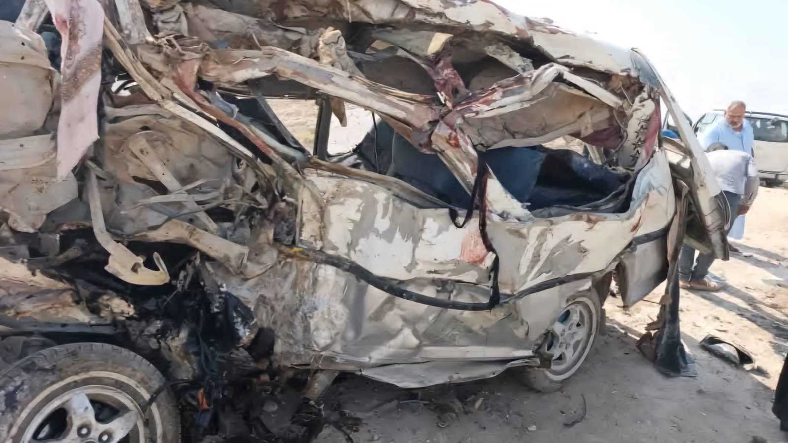 هل القطط البرتقالية تختلف سلوكيًا عن غيرها؟.. العلم يجيب