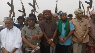 اخبار-حضرموت-|-حلف-الهضبة-ونقاط-الجباية.-حين-تتحول-الفوضى-إلى-مشروع