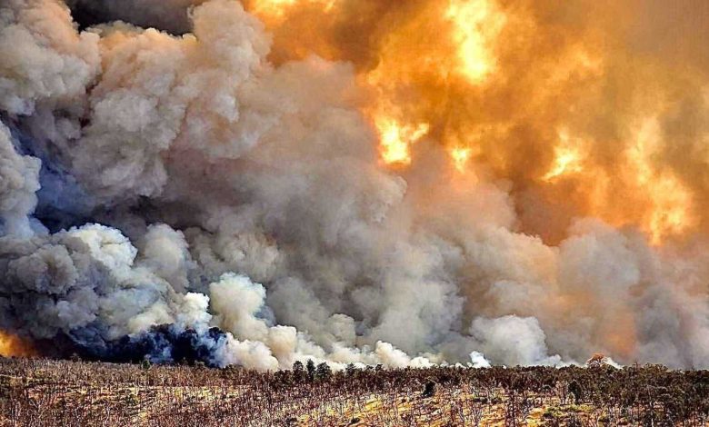 الفلبين.. العثور على رضيعة حديثة الولادة داخل