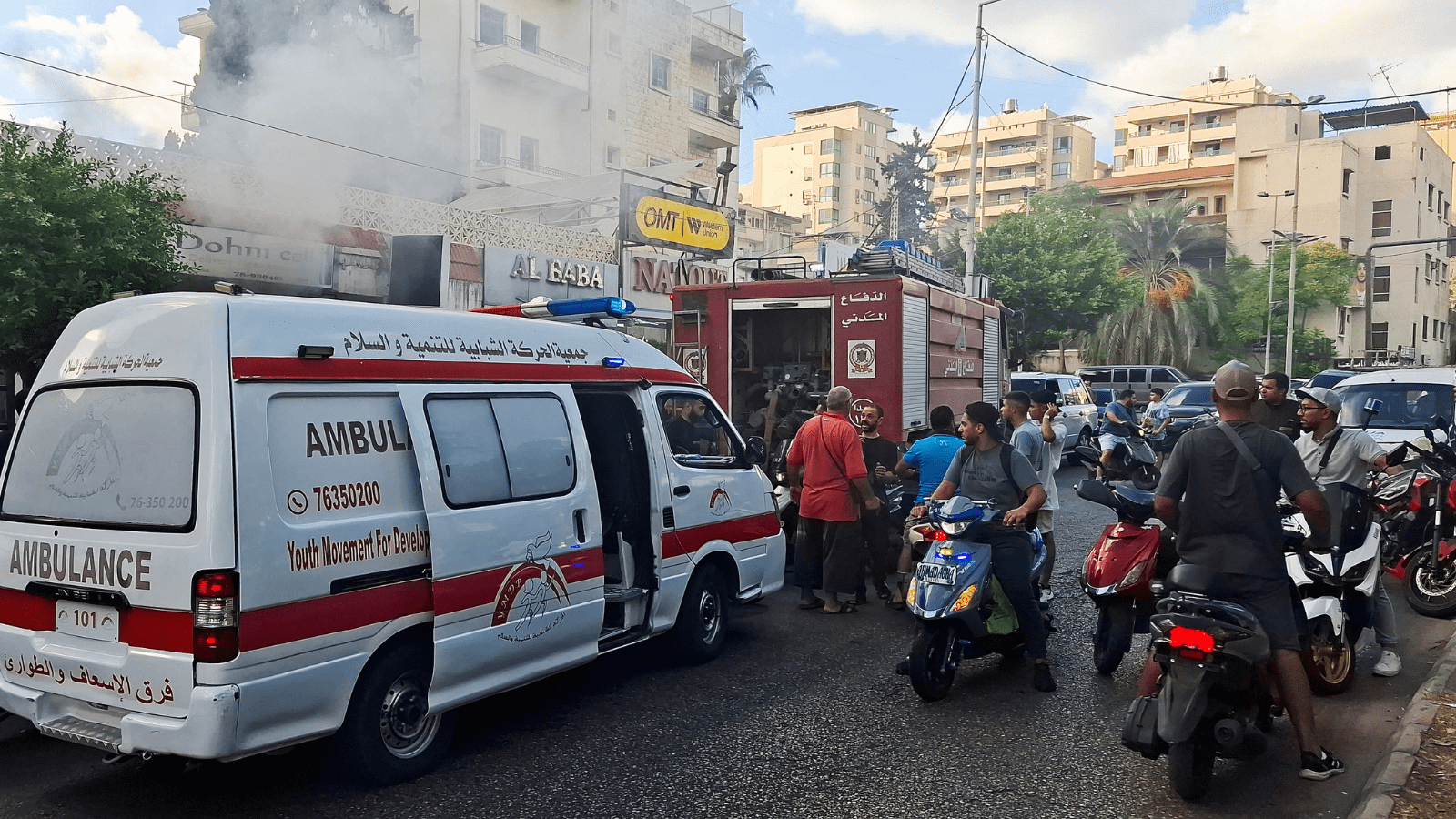 ثعبان يختبئ داخل لعبة قطار يثير الرعب في أستراليا (فيديو)