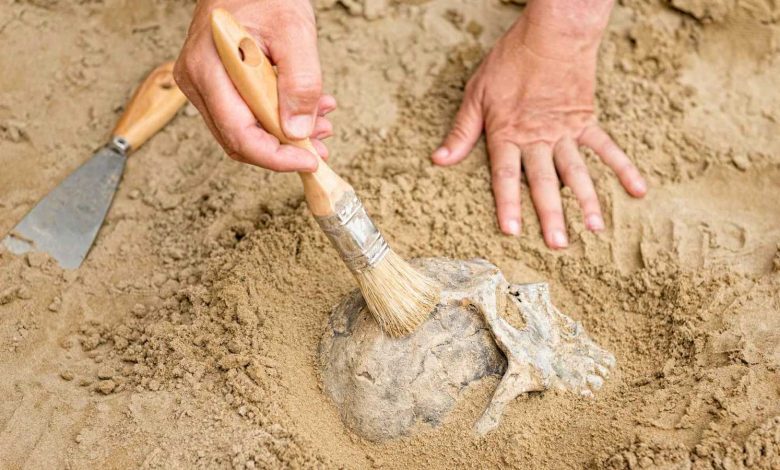 بعكس المعتاد.. بيانكا سينسوري تتألق بإطلالة محتشمة (فيديو)