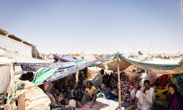 "نيويورك تايمز": سكان الفاشر السودانية يقتاتون على علف الحيوانات وسط المجاعة