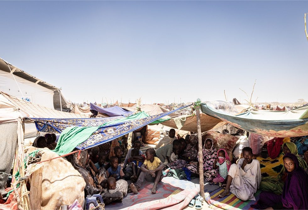 "نيويورك تايمز": سكان الفاشر السودانية يقتاتون على علف الحيوانات وسط المجاعة