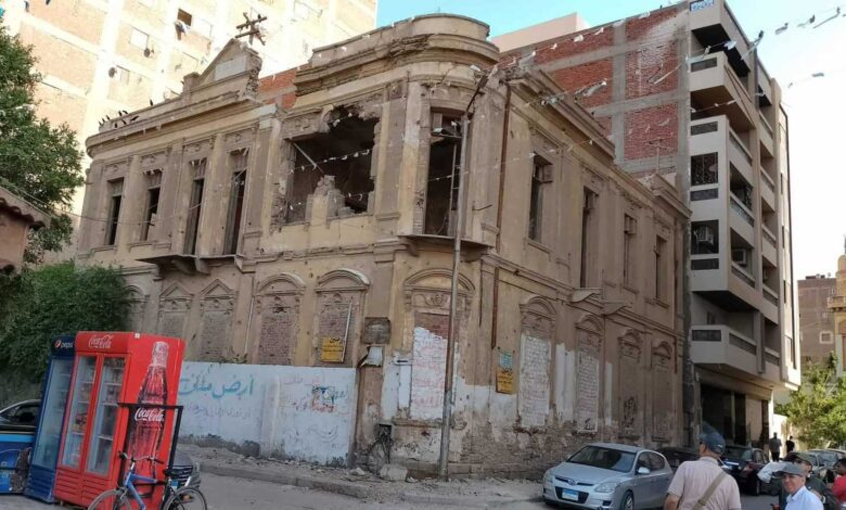 أصلها طماطم.. دراسة تكشف أسراراً مثيرة عن البطاطا (فيديو)