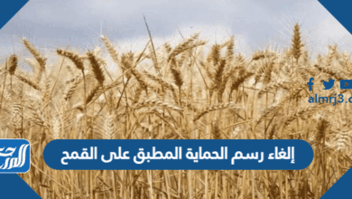 إلغاء رسم الحماية المطبق على القمح