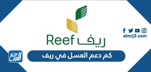 كم دعم العسل في ريف