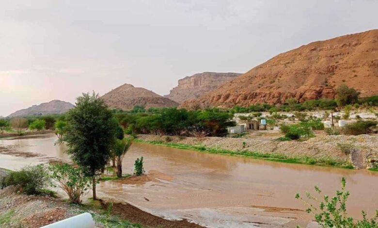 تشهد أسوأ حريق.. فرنسا تحظر الوصول إلى جميع مناطق الغابات