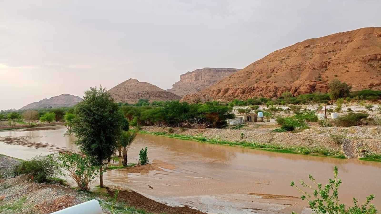 تشهد أسوأ حريق.. فرنسا تحظر الوصول إلى جميع مناطق الغابات