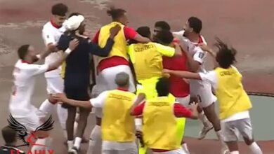 فيديو... بن رمضان يخطف هدف قاتل لمنتخب تونس ويعلن عن تأهله إلى المونديال