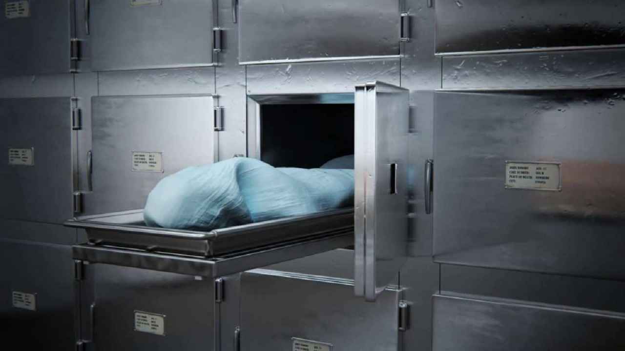 لماذا عادت أزمة راغب علامة إلى