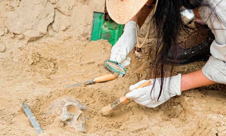 مزاح أشعل غضبا واسعا.. ليبي يطلق أسدا على عامل مصري (فيديو)