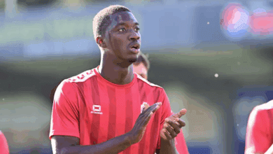 معلومات عن محمدو دومبيا.. صفقة الاتحاد الجديدة