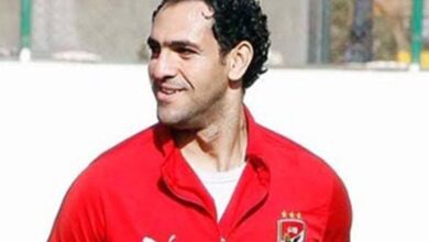 أمير عبد الحميد