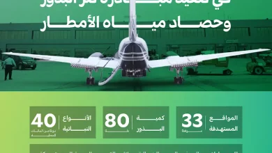 تعاون بين "الغطاء النباتي" و"استمطار السحب" لإعادة تأهيل 33 موقعًا بيئيًا