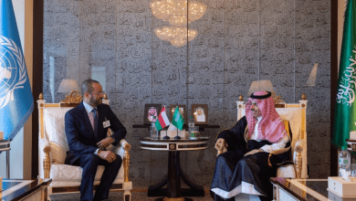 وزير الخارجية ونظيره العماني يبحثان مستجدات الأوضاع