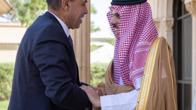 وزير الخارجية يستقبل نظيره المصري ويبحثان العلاقات الثنائية والتطورات الإقليمية
