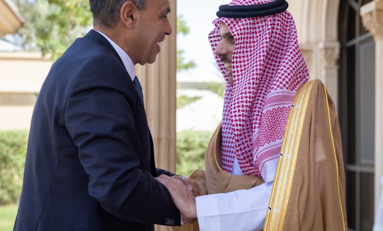 وزير الخارجية يستقبل نظيره المصري ويبحثان العلاقات الثنائية والتطورات الإقليمية