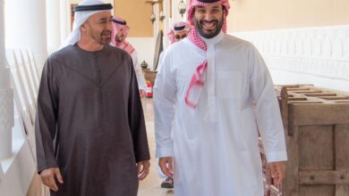 ولي العهد ورئيس الإمارات يبحثان العلاقات الأخوية بين البلدين الشقيقين