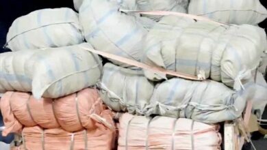 2000 حقيبة مدرسية ومواد قرطاسية تصل سقطرى من حاكم عجمان والخيّرين من دولة الإمارات
