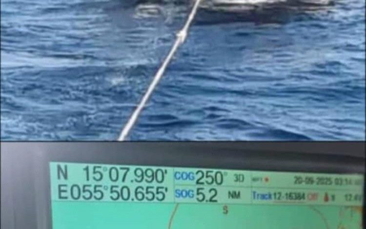 العثور على طاقم سفينة بعد 16 يومًا على فقدانها في سقطرى