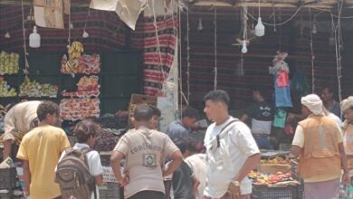 تنفيذ حملة على الصيدليات والافران وإزالة العشوائيات والبسطات التي تعيق حركة المرور بمدينة جعار مديرية خنفر