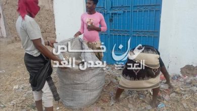 حملة نظافة واسعة في مديرية أحور بعد موجة غبار